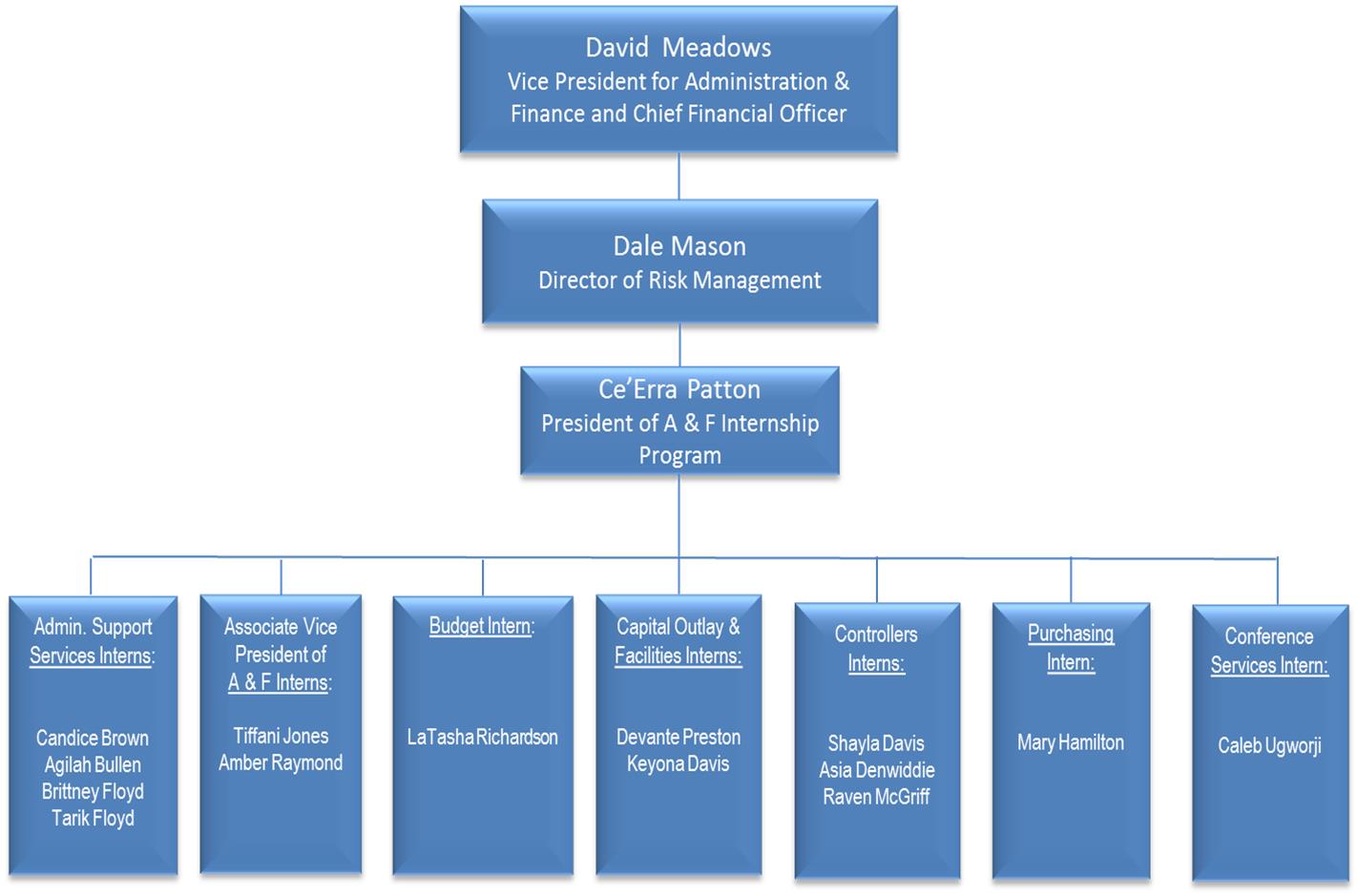 Risk Management Org Chart