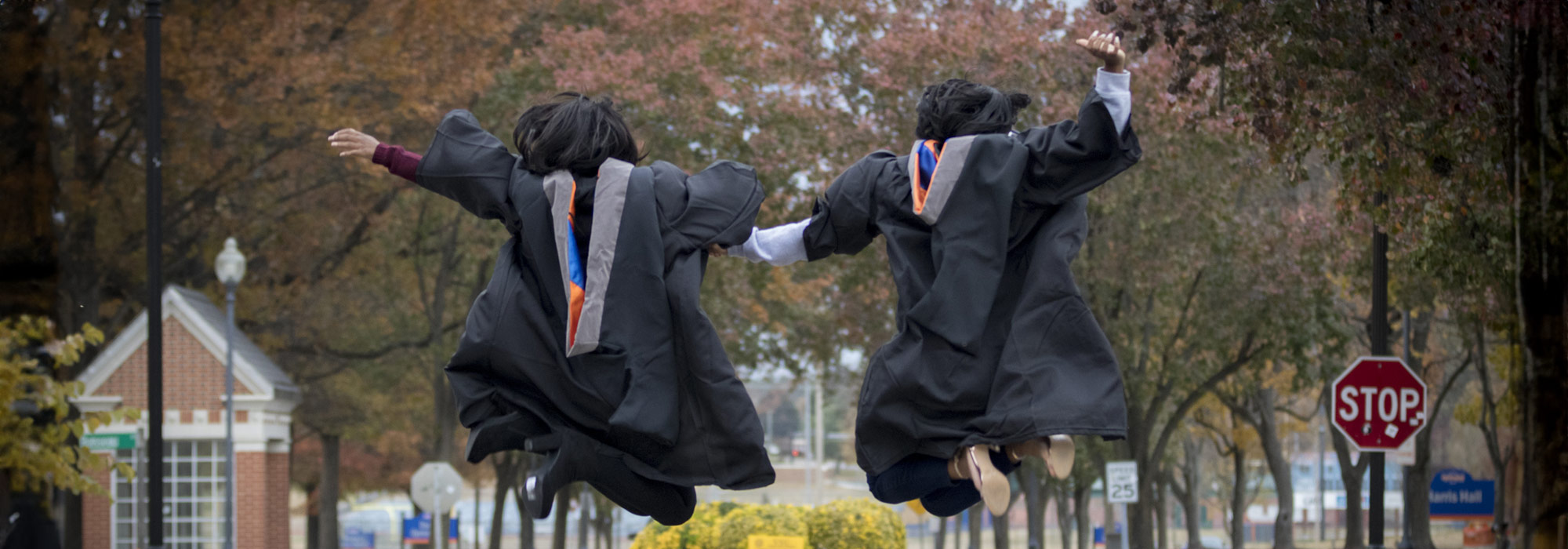 VSU-VCU Pharmaceutical Engineering Pathways Project 