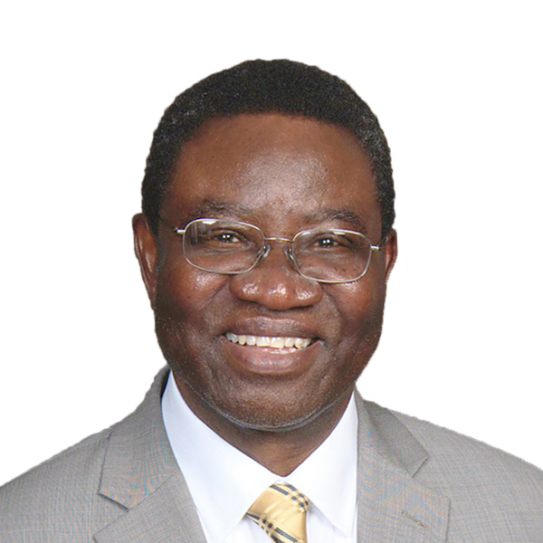 Professor Emmanuel Omojokun, Ph.D.