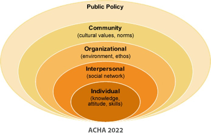Public policy, Community, Organizational, Interpersonal, Individual
